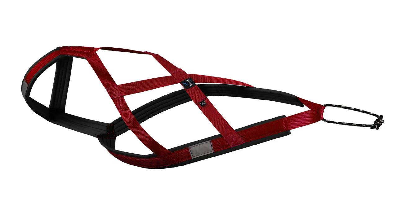 Innovative Dog Harness Supplier for Modern Pet Products