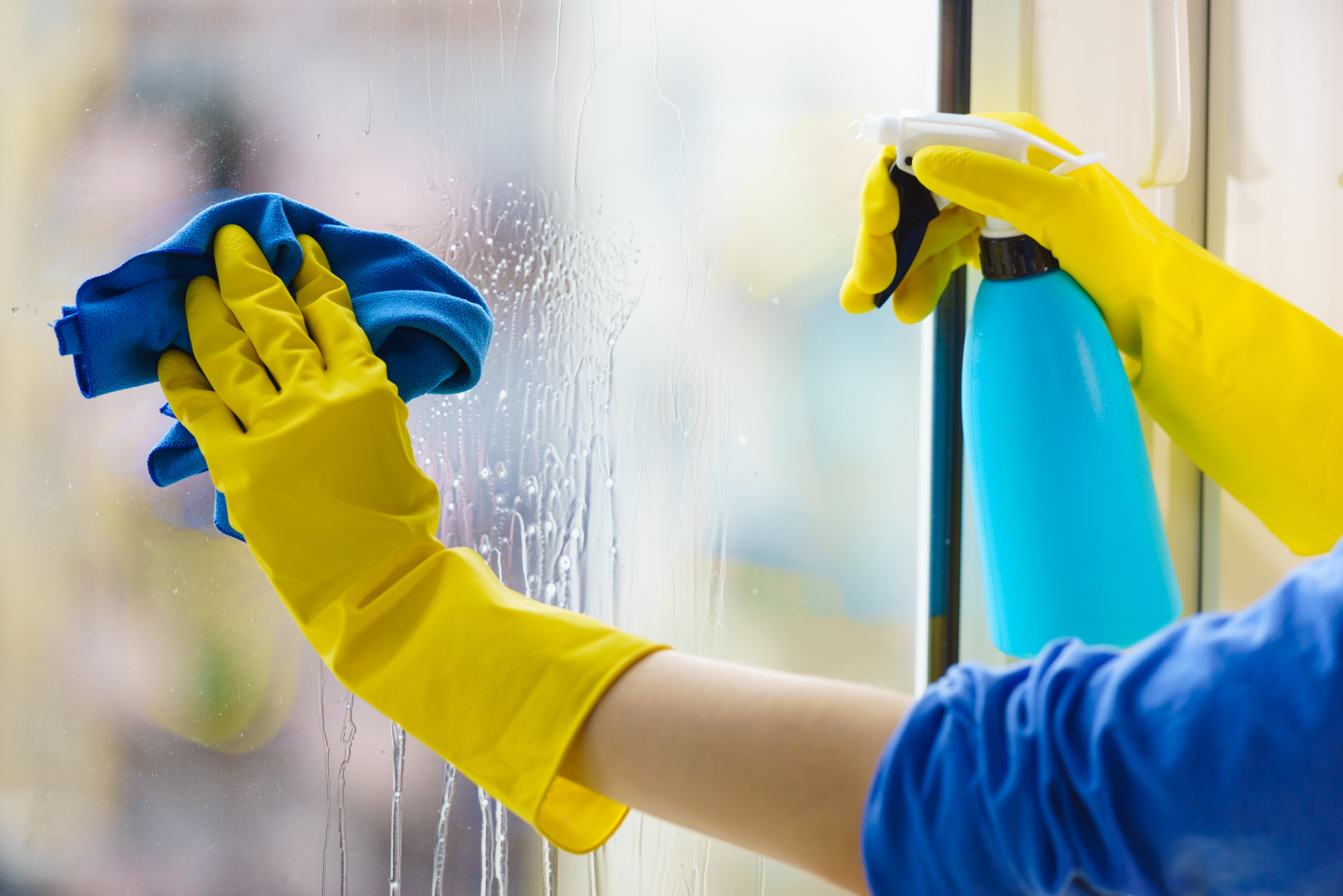 Expert Bond Cleaning Brisbane with Professional Tools
