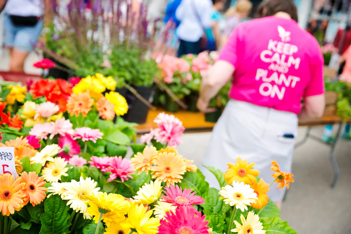 Fresh Flowers Delivered Right When You Need Them
