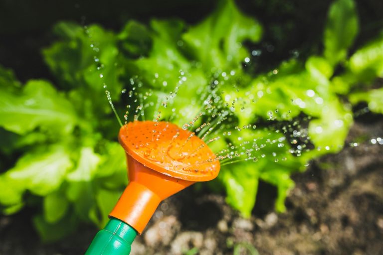 Expert Drainage Services in Weatherford , TX – Drainage Experts