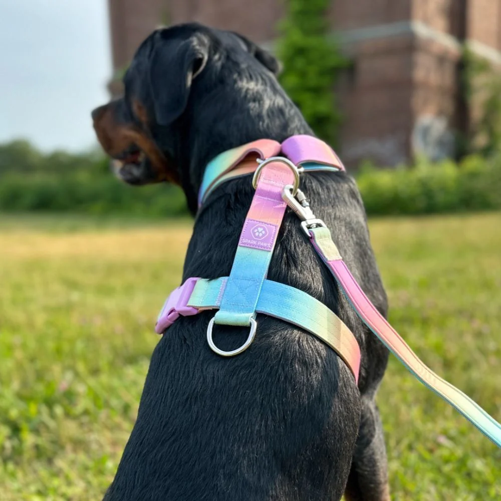 10 Best Dog Harness Supplier Worldwide OKEYPETS known for durability